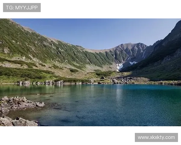 半岛体育下载支持多设备多平台切换体验带来极致观看享受