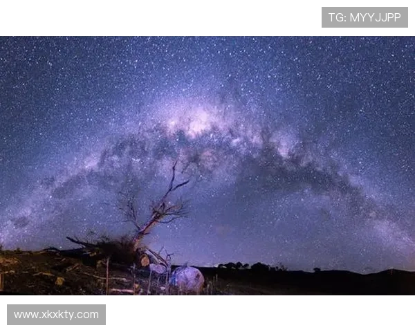 星空体育手机登录的步骤详解及登录常见问题排查